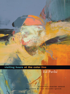 cover image of Visiting Hours at the Color Line